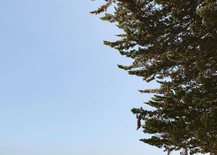 Calme Et Charme En Famille, Cote Sauvage * Le Pouliguen